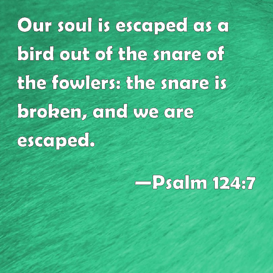 psalm-124-7-our-soul-is-escaped-as-a-bird-out-of-the-snare-of-the