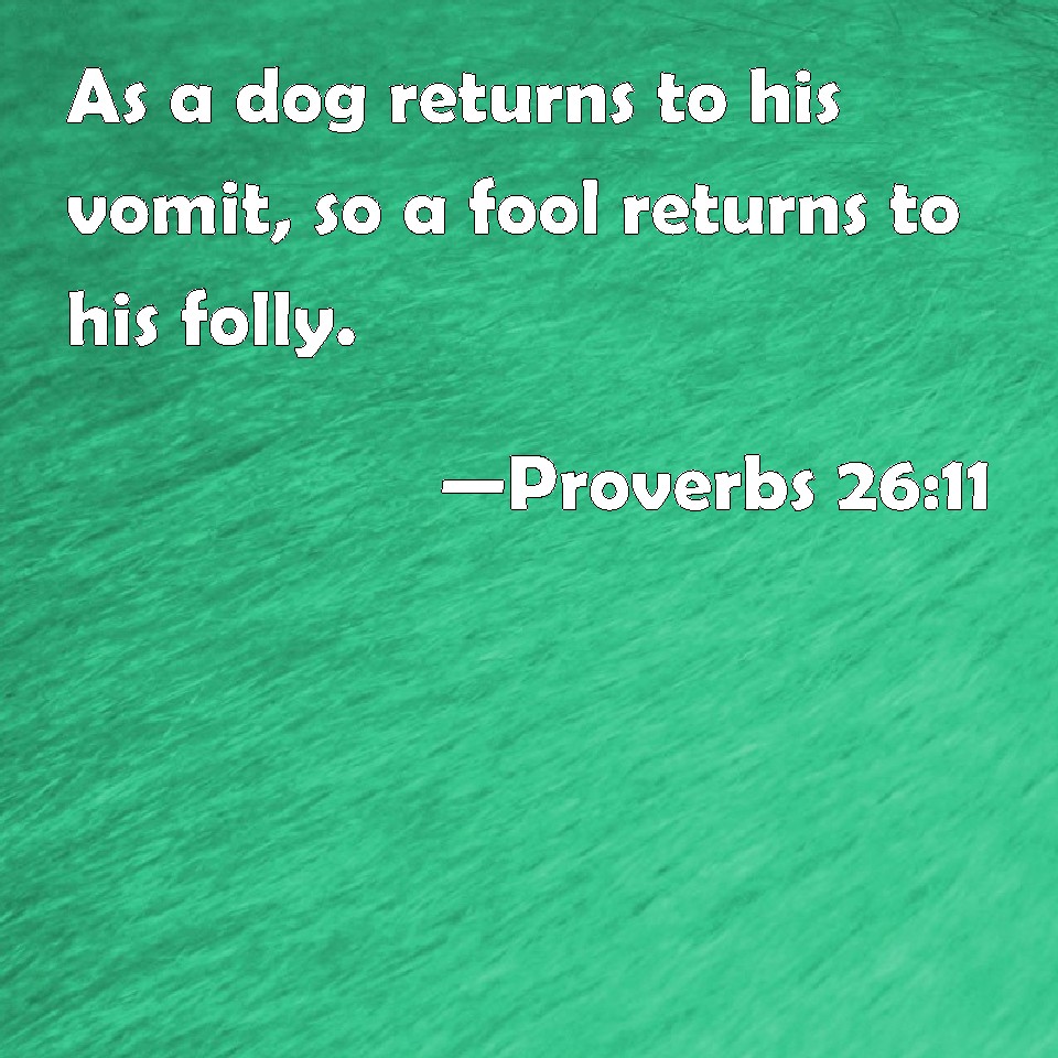 Proverbs 2611 As a dog returns to his vomit, so a fool returns to his