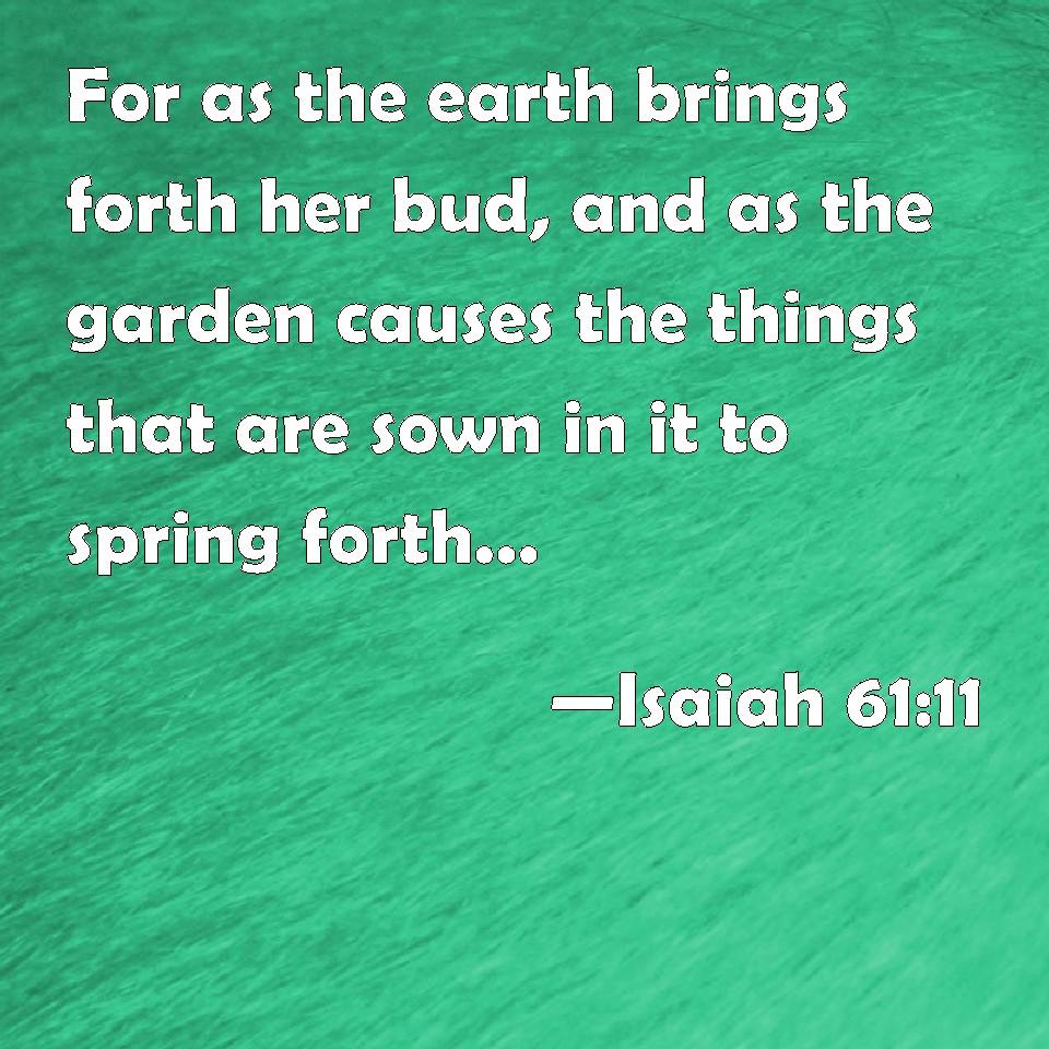 Isaiah 61:11 For As The Earth Brings Forth Her Bud, And As The Garden ...