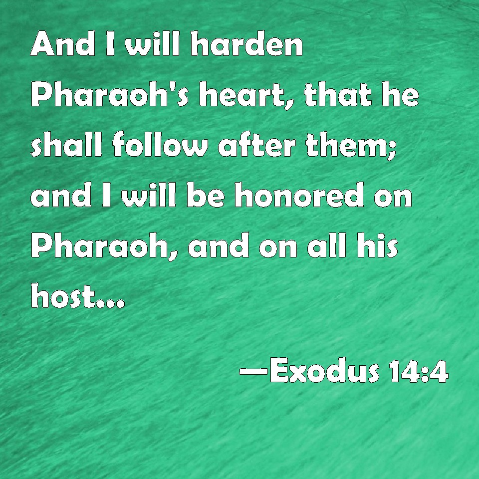 Exodus 14 4 And I Will Harden Pharaoh S Heart That He Shall Follow After Them And I Will Be
