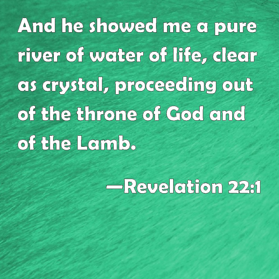 Revelation 221 And He Showed Me A Pure River Of Water Of Life Clear